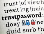 信任的密码，英语中trust的多样用法与地道短语
